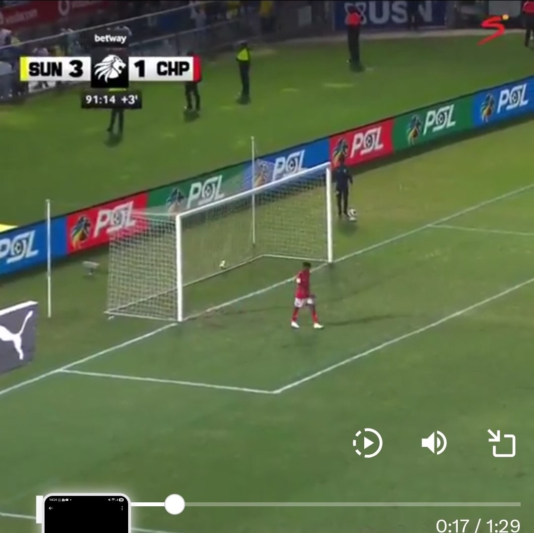 🇿🇦 Sunday tweet media