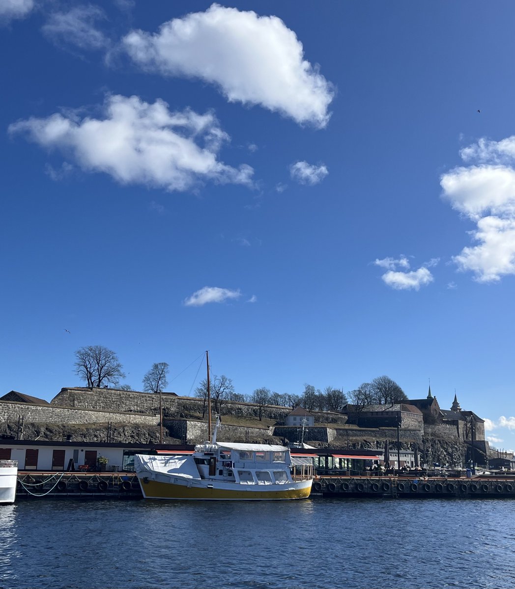 ShahidMAskerN's tweet image. A lovely day 💙🌊☀️🍷
#Oslo #Norway