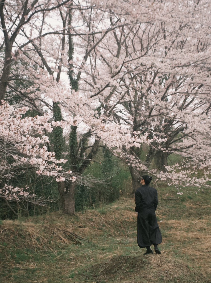 タツヒト tweet media