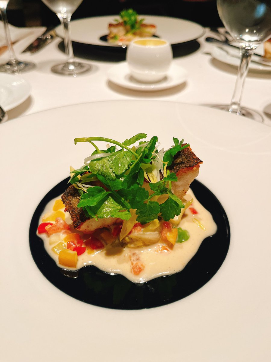 薩摩井 / Satsumai tweet media