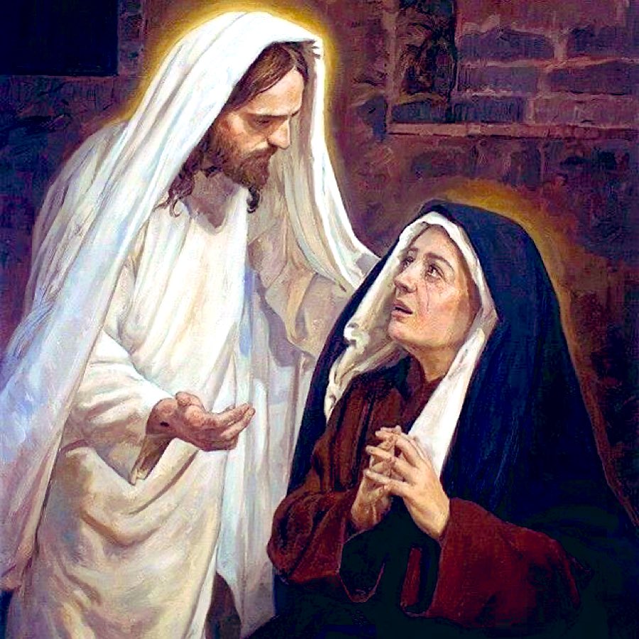 Maria Lucia Tcherassi, OCDS tweet media