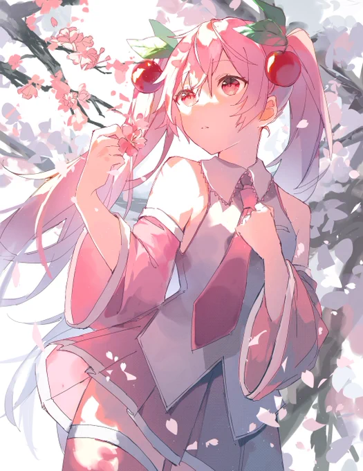 桜の季節なので