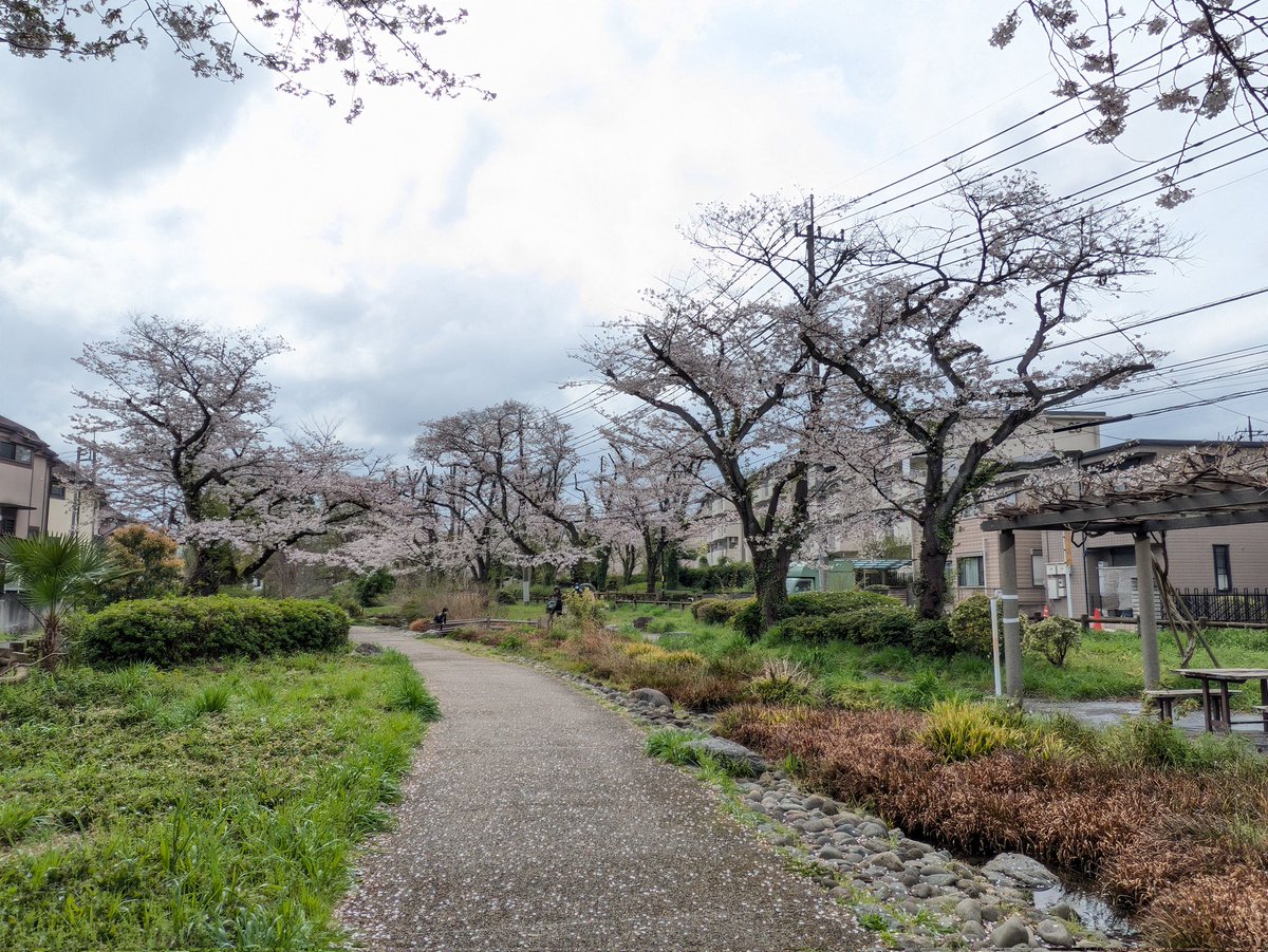 ナシゴレン tweet media