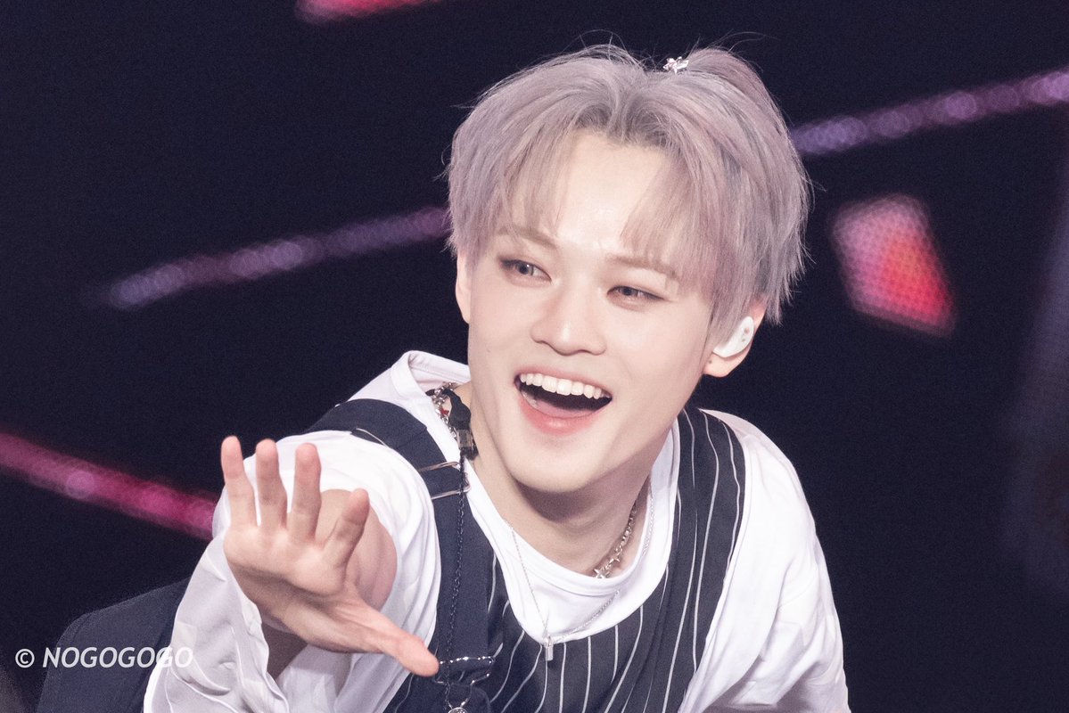 NOGOGOGO tweet media