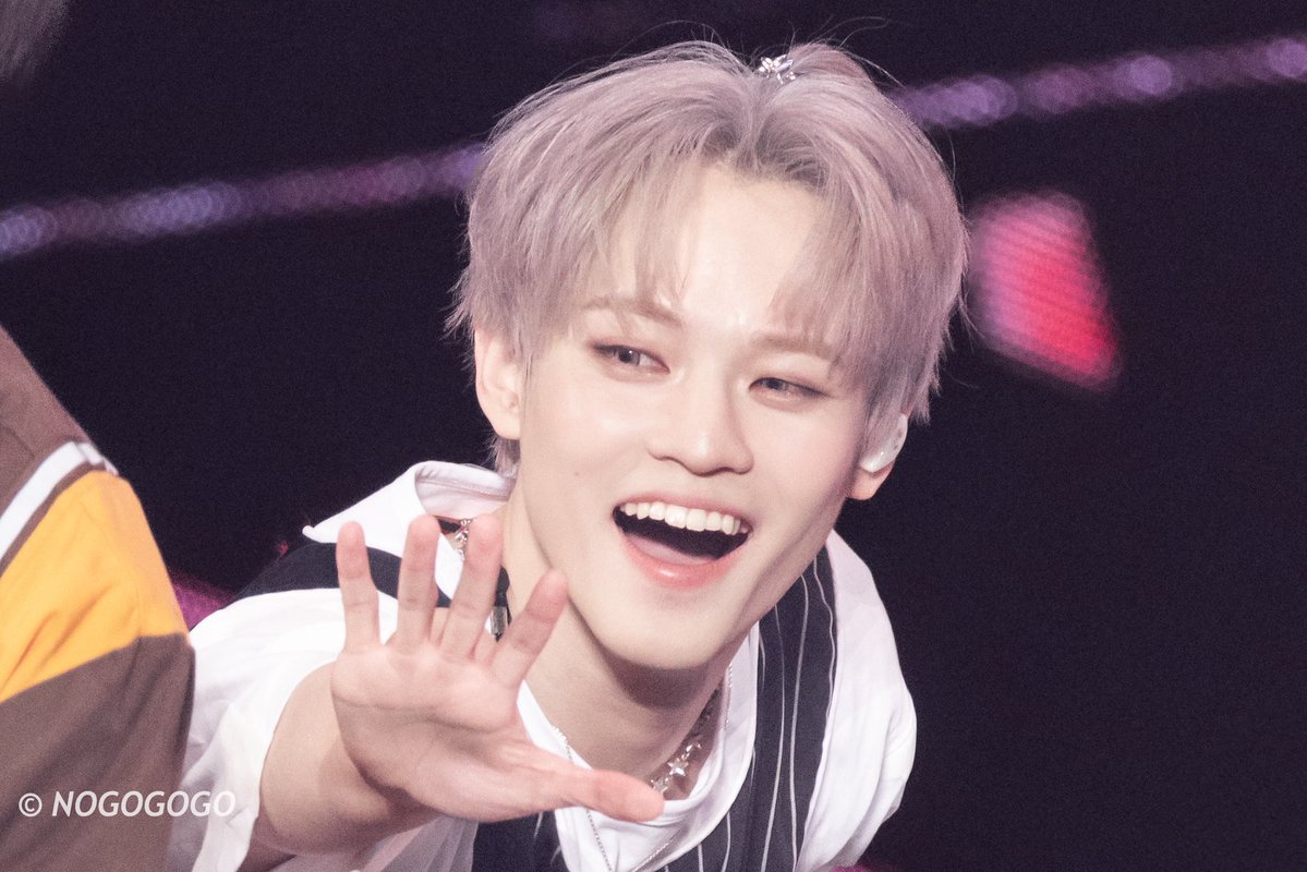 NOGOGOGO tweet media