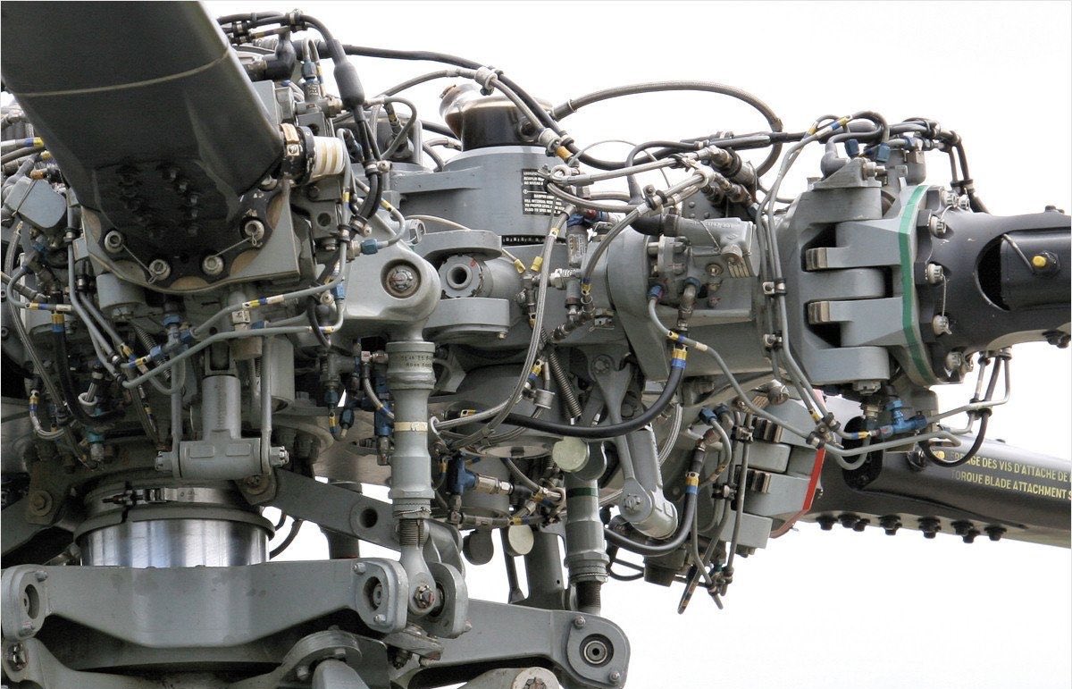 amalgamatomaton tweet media