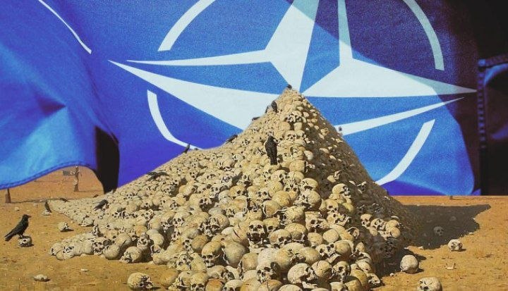 Russian Embassy in NL🇷🇺🇳🇱 tweet media