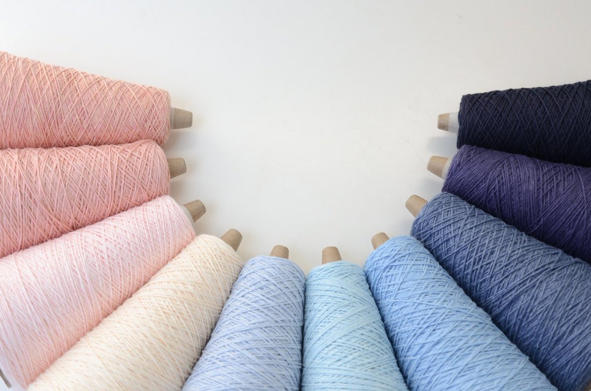 ニッティングバード tweet media