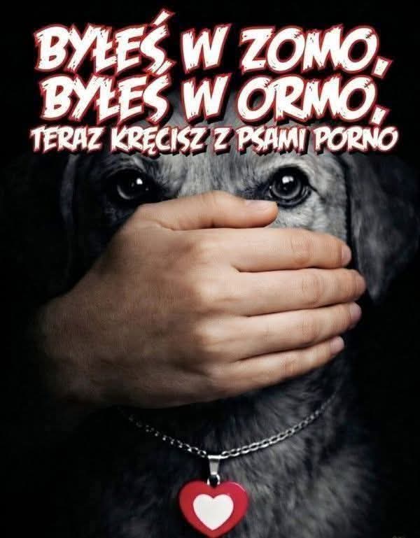 F-35 🛬 🇵🇱 tweet media