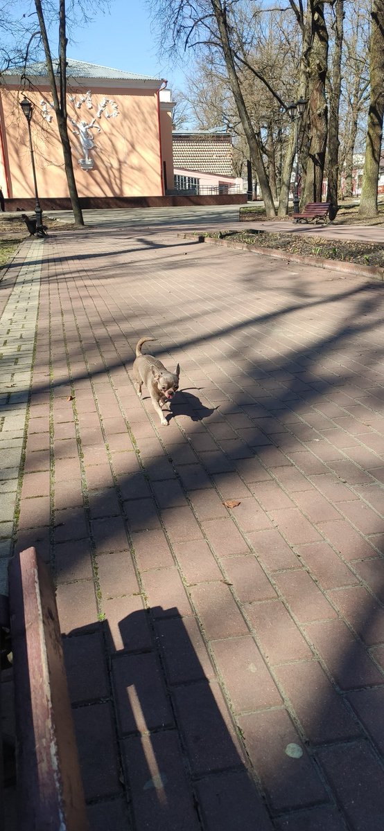 Мел&Ман tweet media