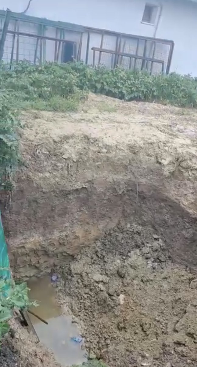 Hikmeti Tabiyeci tweet media