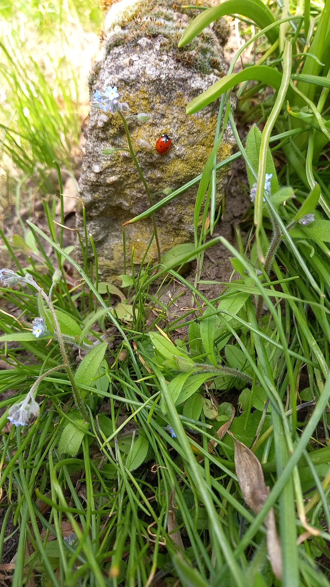 Erde&Sand tweet media