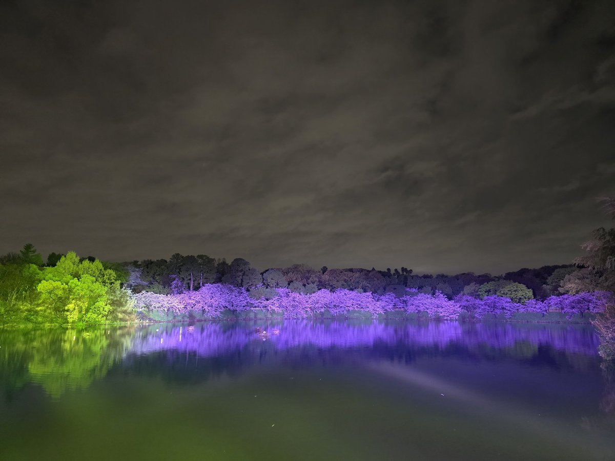 エメロン🐢🐈‍⬛ ͗🐌🦭(⚯̫ ﾐэ)Э🚪🌙🔎💐 tweet media