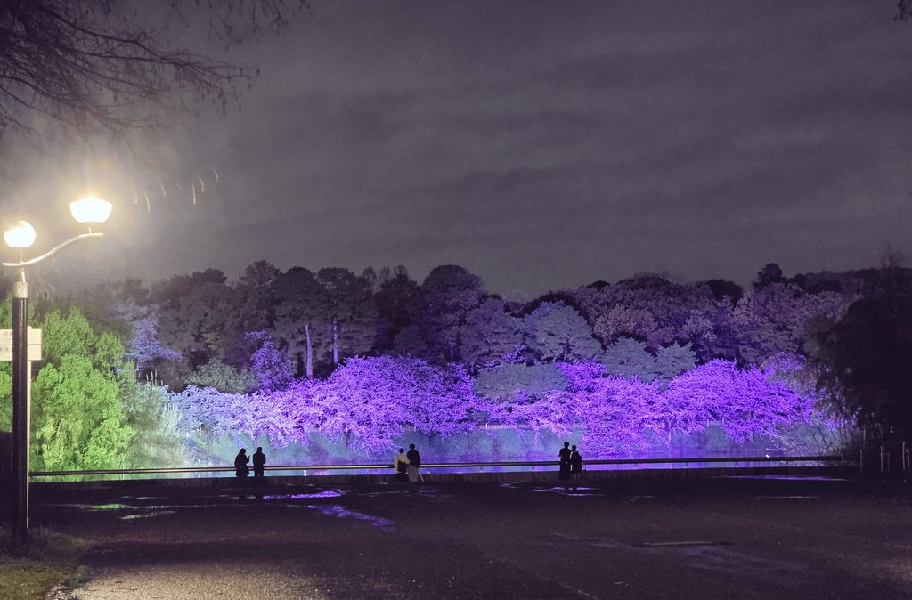 エメロン🐢🐈‍⬛ ͗🐌🦭(⚯̫ ﾐэ)Э🚪🌙🔎💐 tweet media