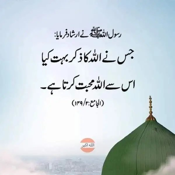 Sadia Rajpoot ⚡ tweet media