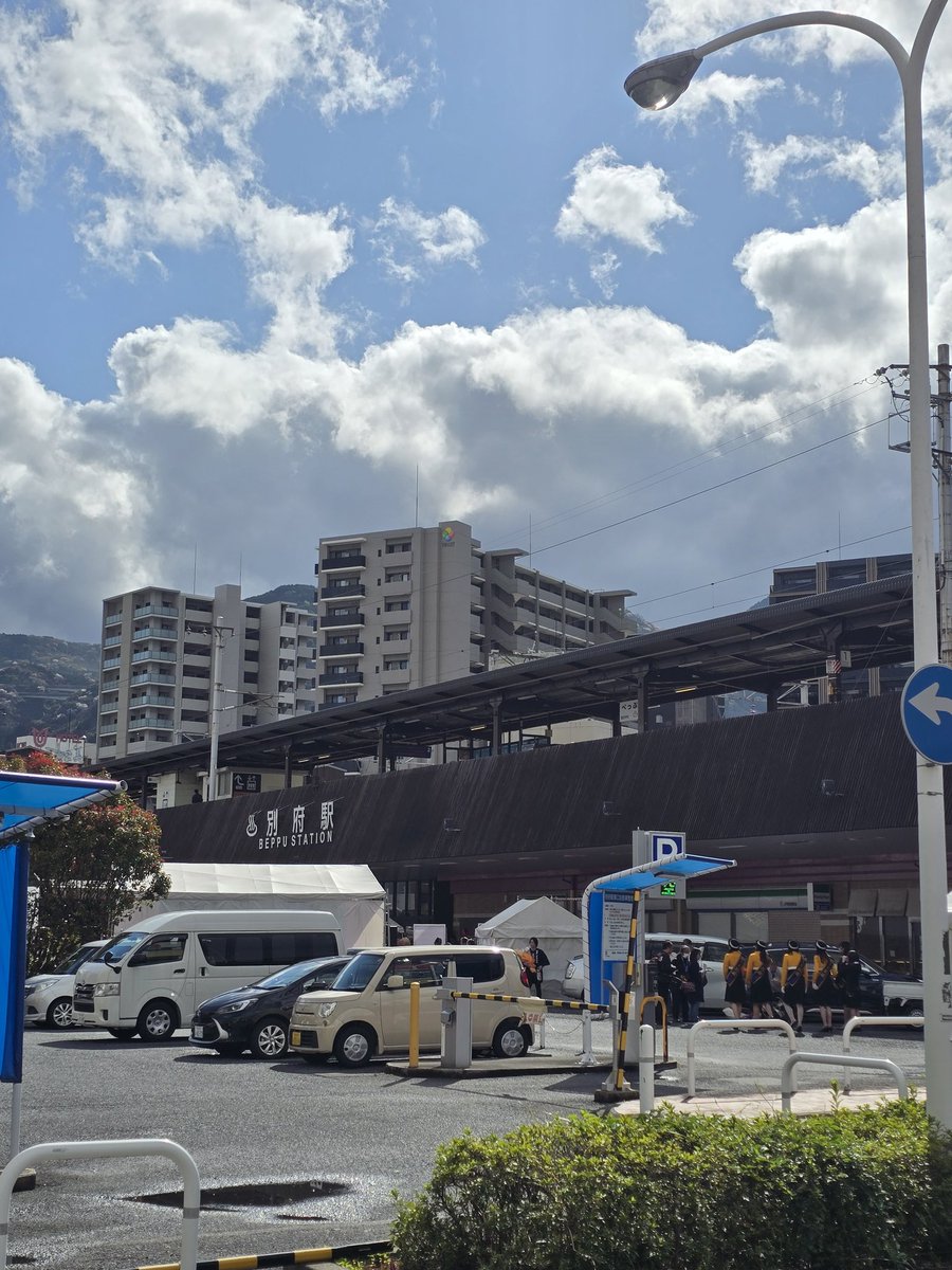 にゃんこ先生 tweet media