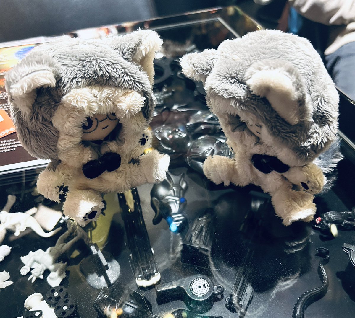 おもちゃがいっぱいあるねえ🐾🐾