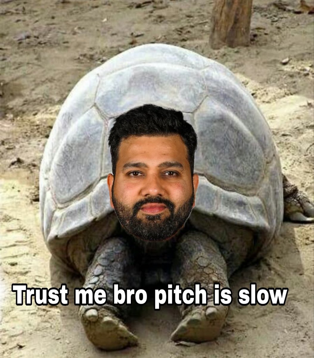 I.P.S🏌️ tweet media