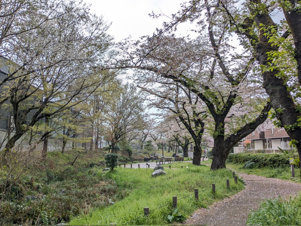 ナシゴレン tweet media