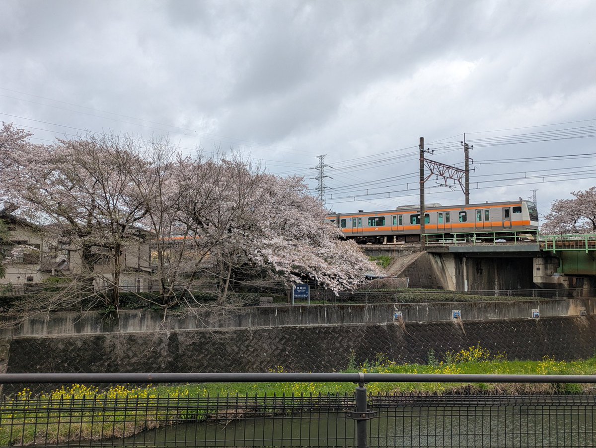 ナシゴレン tweet media