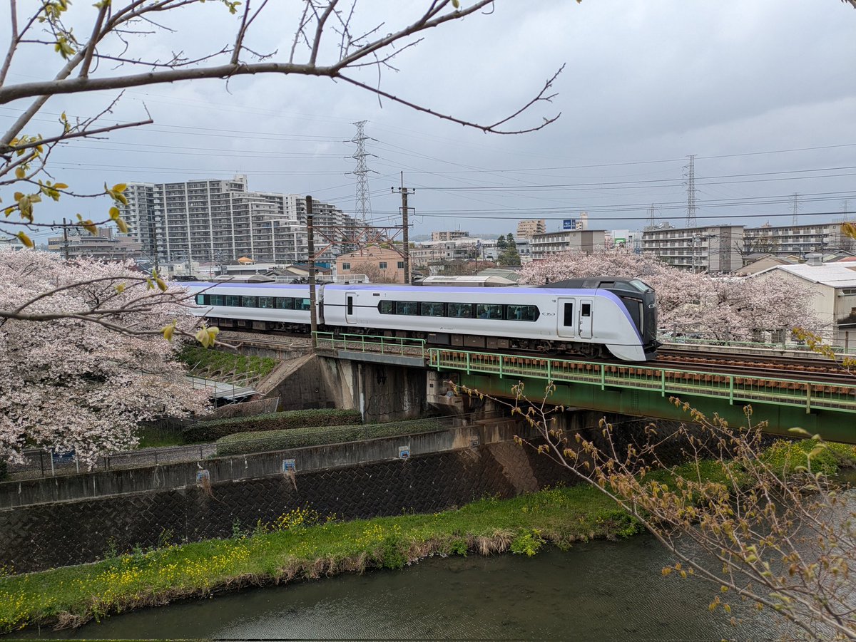 ナシゴレン tweet media