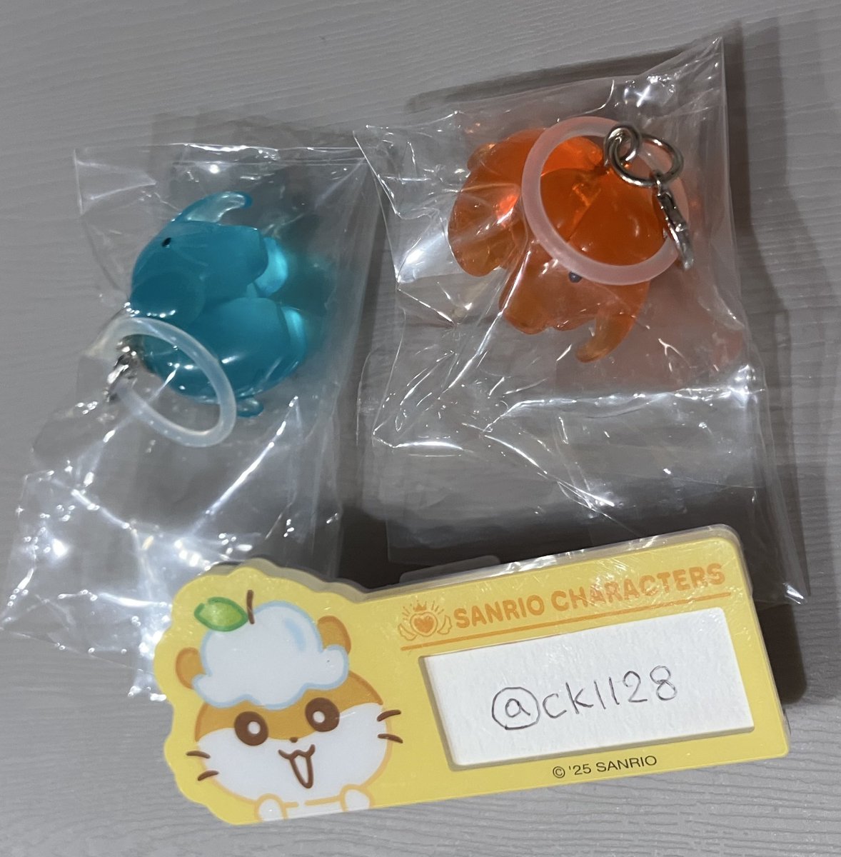 しい 🐱🪿 tweet media