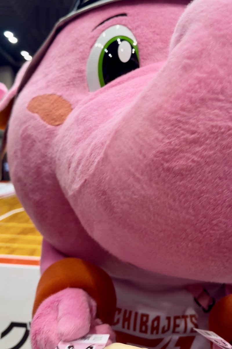 ＨＡＲＵ tweet media