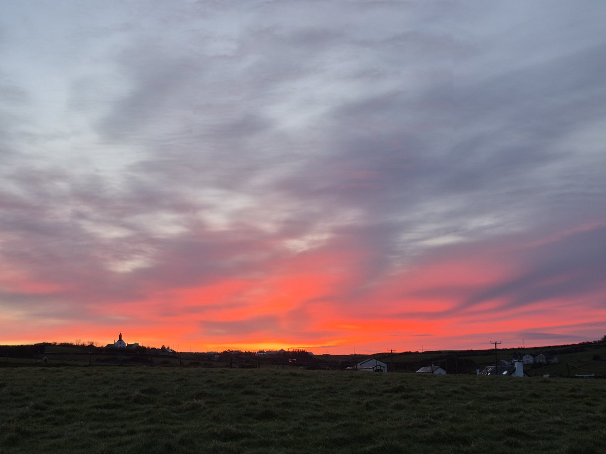 Richard Donaghey tweet media