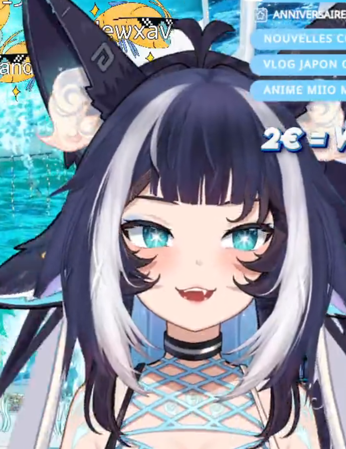 MiiOrca 🌊EN PLEINS DONATHON 🌊🐋 tweet media