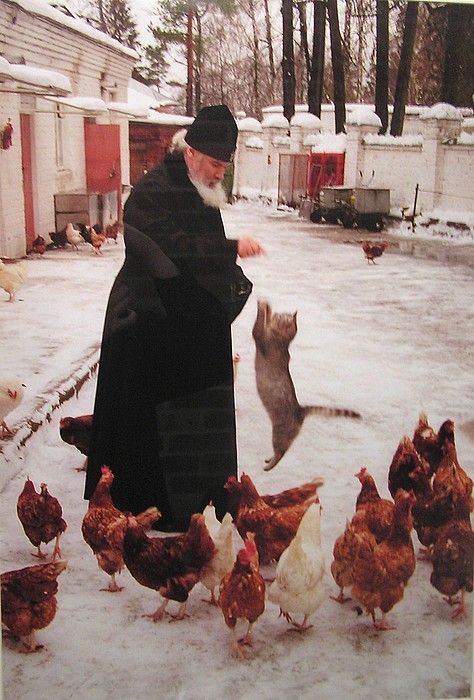 Türk Ortodoks Topluluğu tweet media