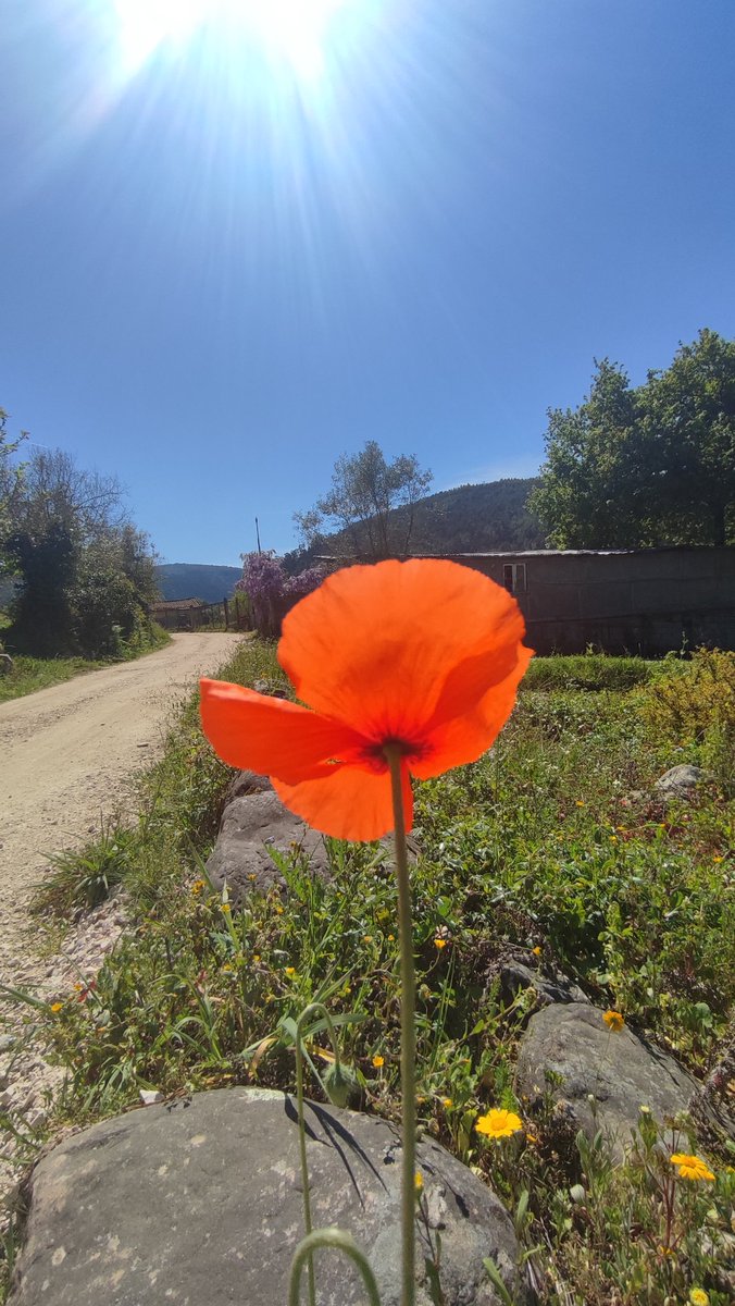 Matrix ๐๐ tweet media