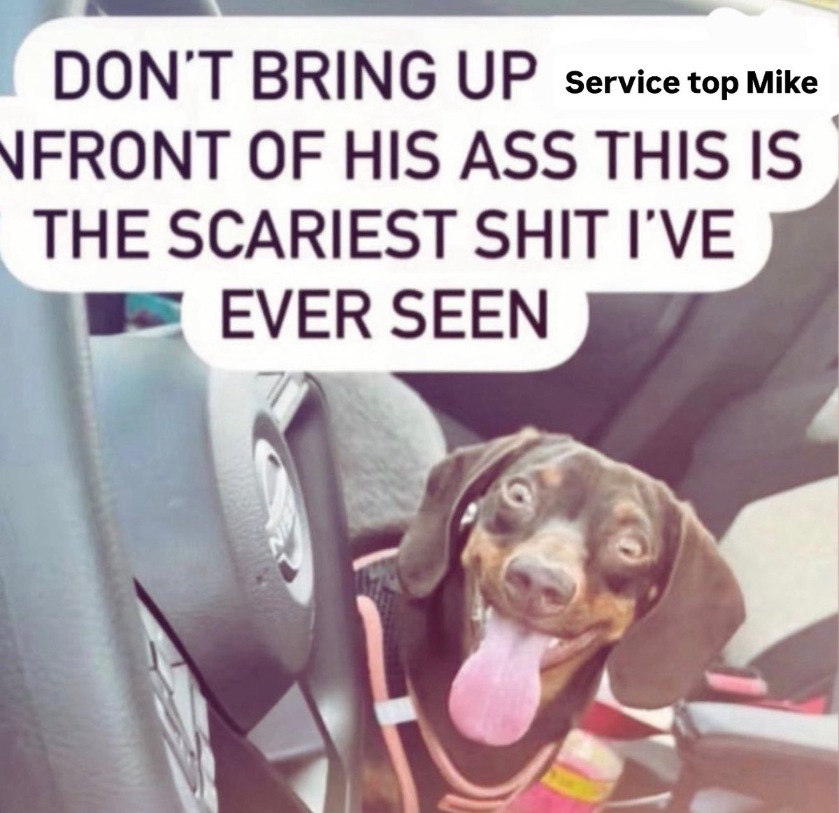 georgie 🤠 tweet media