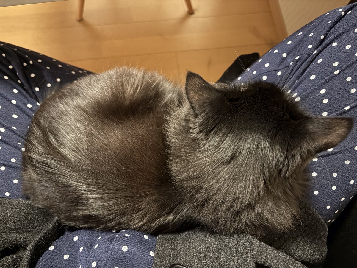 すがこ tweet media