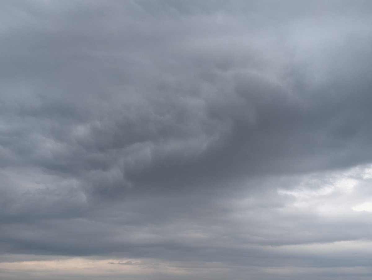 川瀬宏明 tweet media