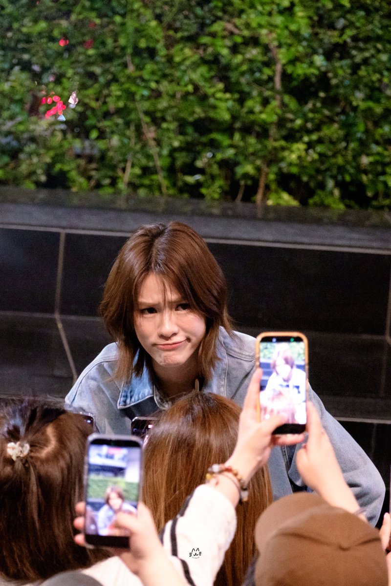 little cat tweet media