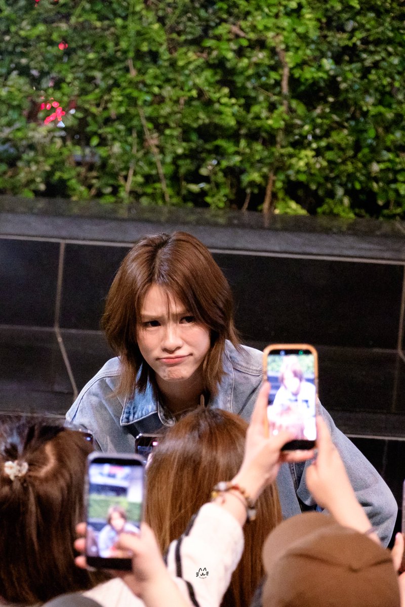 little cat tweet media