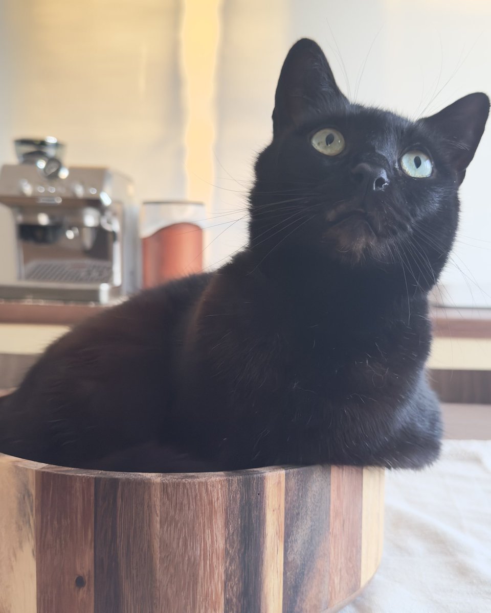 𓏲 miya tweet media