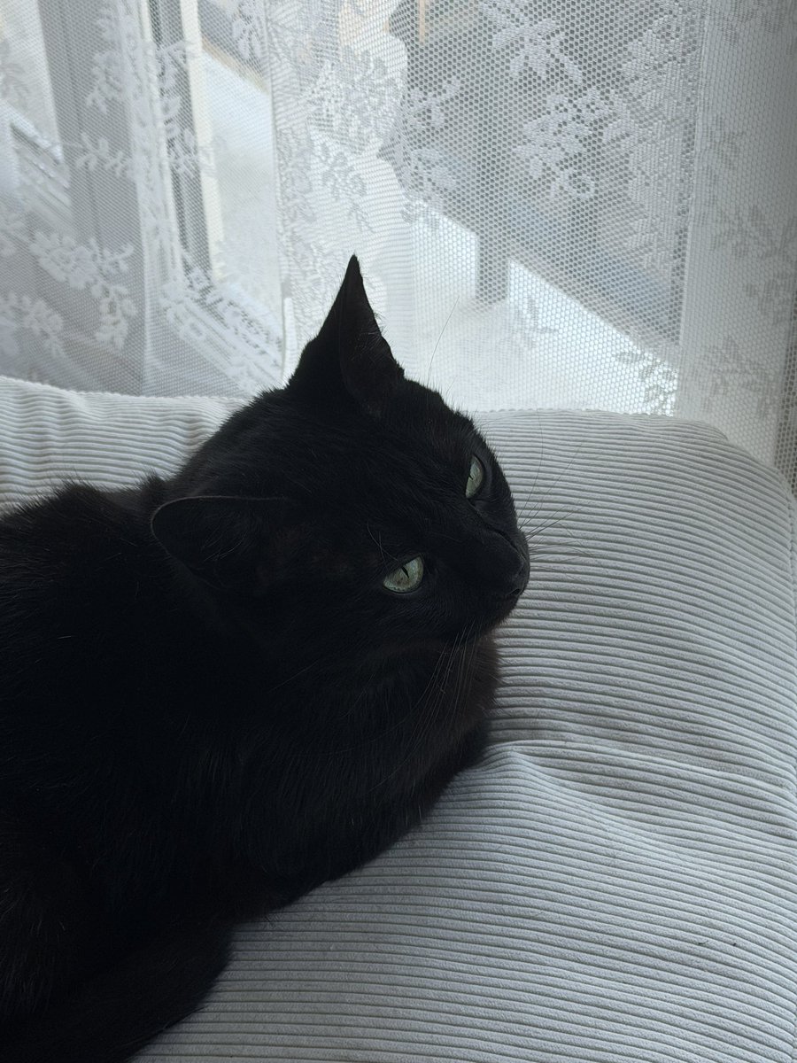 𓏲 miya tweet media