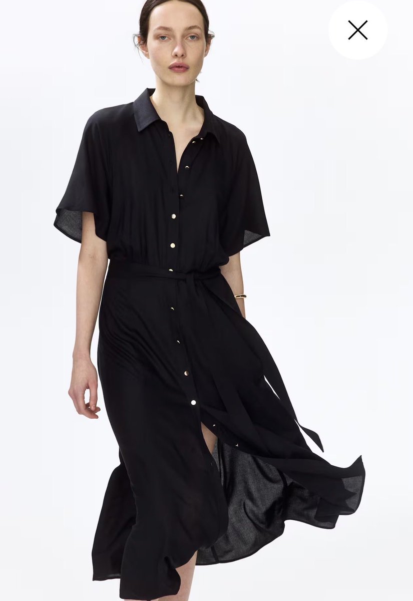 リトルベアーズ tweet media