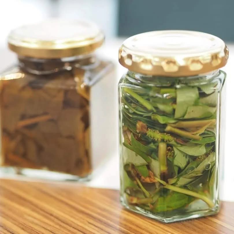 forestthree/ビオトープの中の人 tweet media