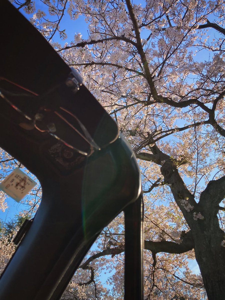 daisukeHORIKAWA's tweet photo. 屋根のないおくるまはいいぞ🌸
#桜 #cherryblossom
#mazda #miata #mx5 #eunos #roadster
https://t.co/ugFIBnDqX5 https://t.co/LCYLV5Y0d2