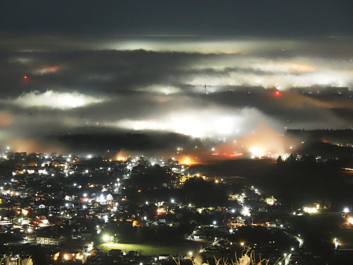 空に羽(♂) tweet media