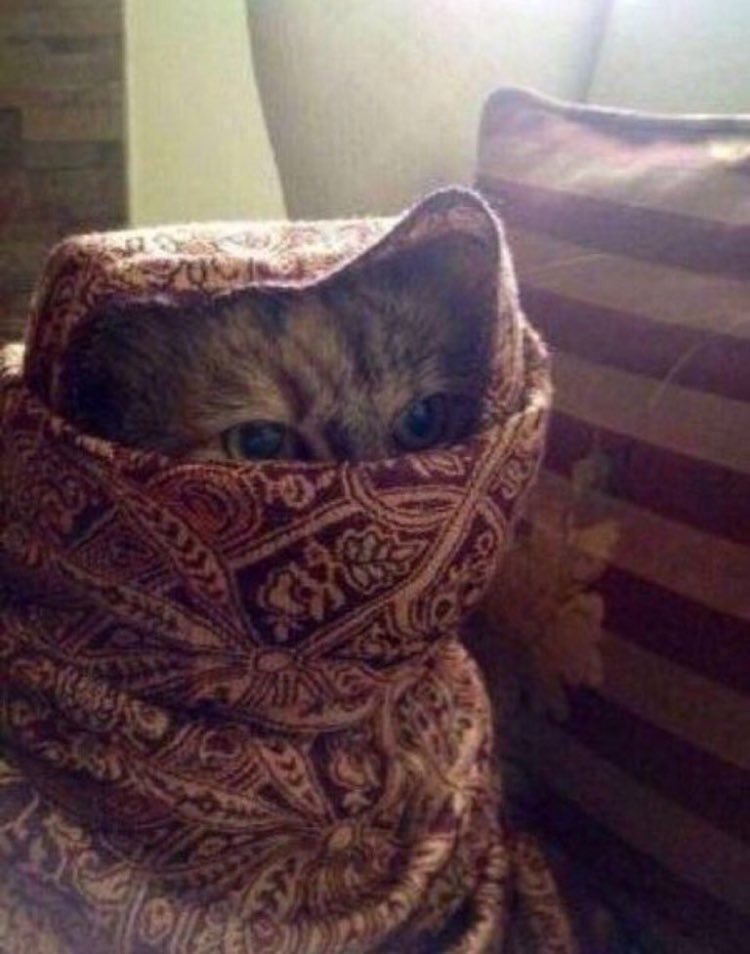 Redha 🇮🇶 tweet media