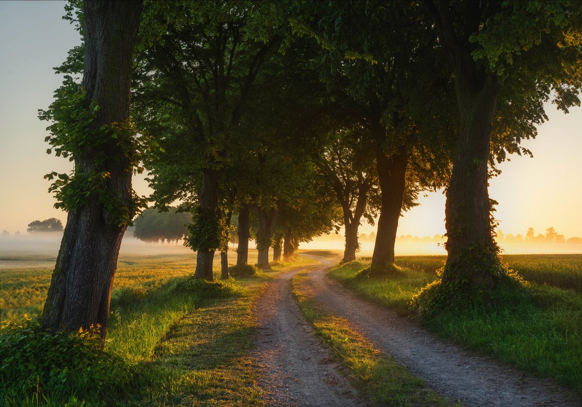 Kilian Schönberger tweet media