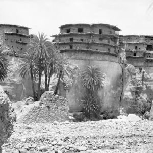 Numidian 🇩🇿 tweet media