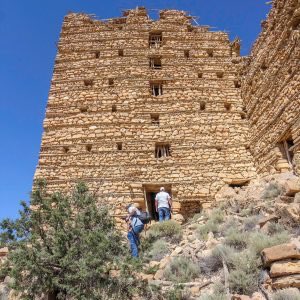 Numidian 🇩🇿 tweet media