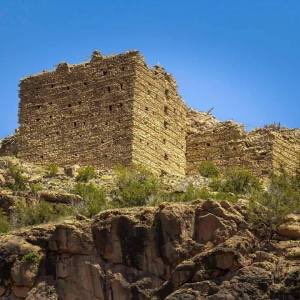 Numidian 🇩🇿 tweet media