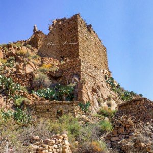 Numidian 🇩🇿 tweet media