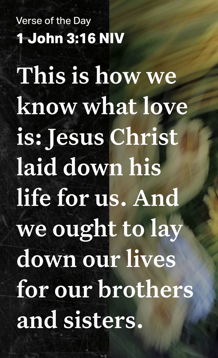 Patriot Nurse. tweet media