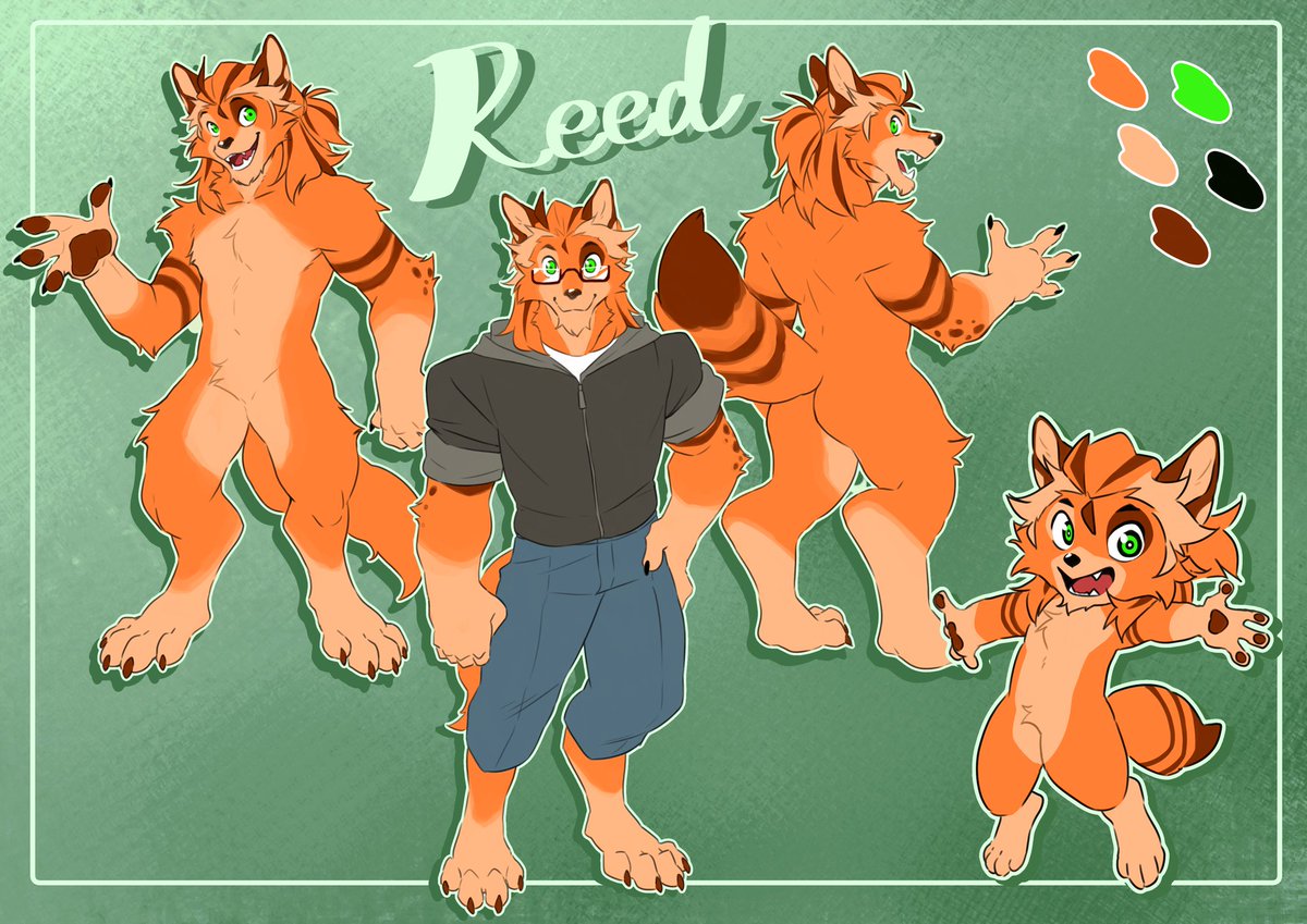 FluffyBoiReed tweet media